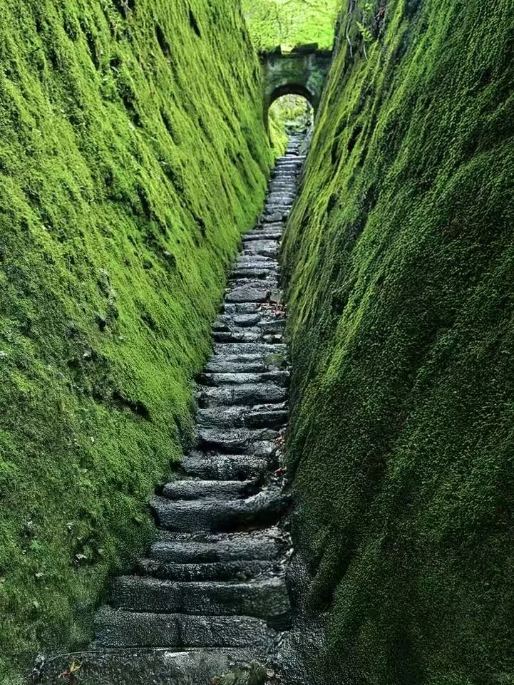 武夷山必玩!3 天打卡精华景✨