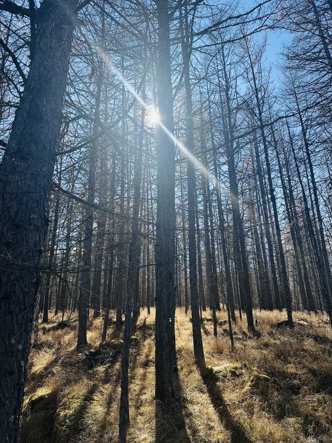 📍阿尔山攻略(长春出发版)