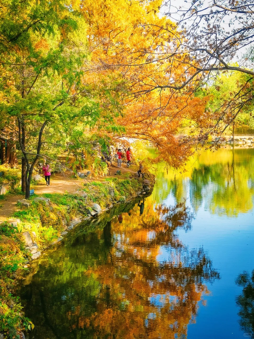 永远可以相信颐和园的审美🍂🍁
