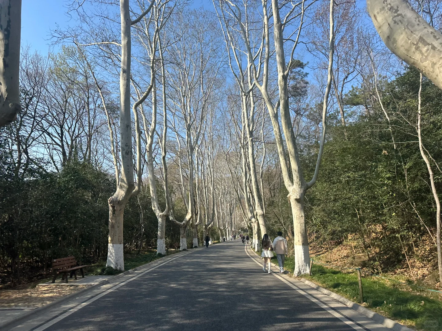 济南出发➡️扬州➡️南京➡️苏州➡️上海