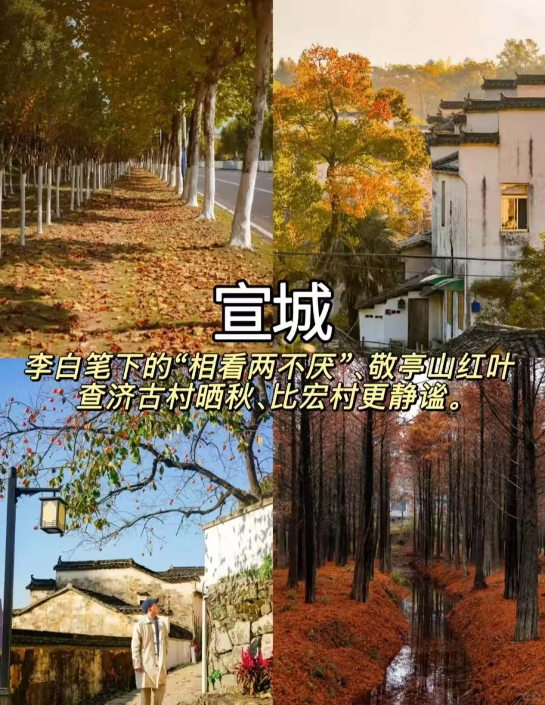 10-12月最适合慢慢品的9座秋日小城
