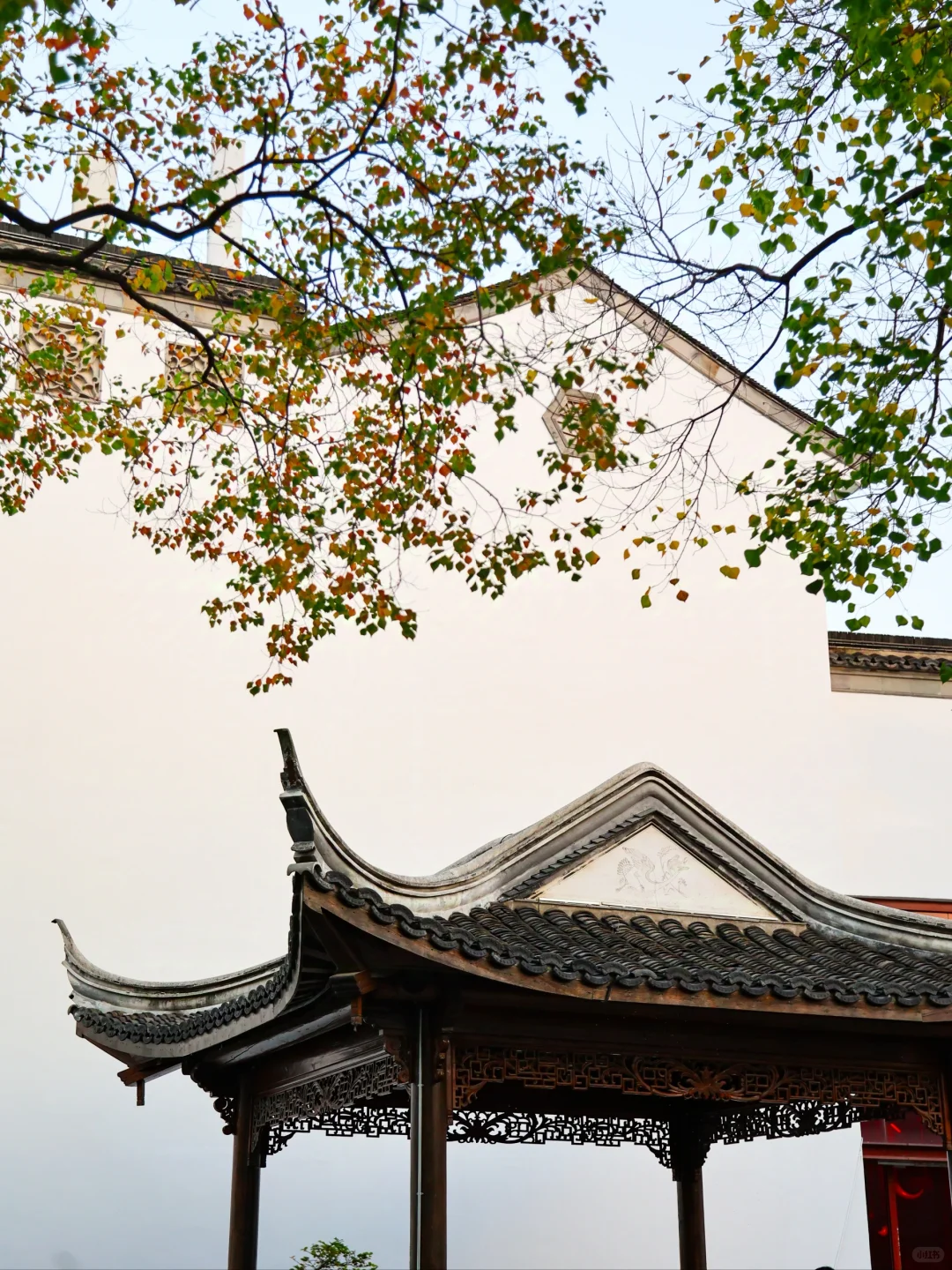 不废腿！夫子庙+老门东懒人版citywalk路线