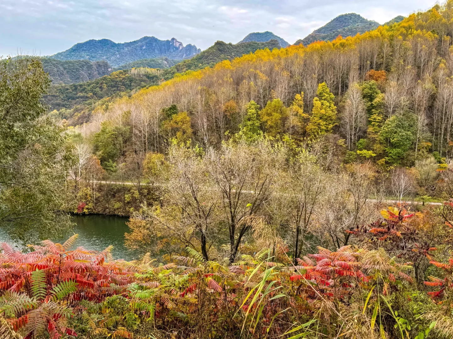 10.12玉渡山 秋意正浓，拍不出的美
