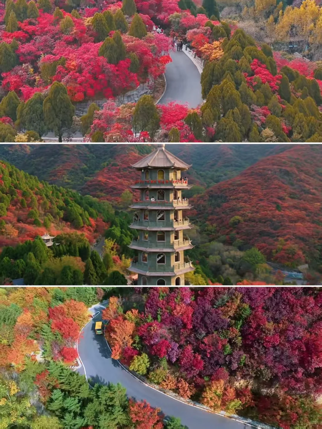济南红叶谷保姆级攻略|金秋必冲的童话秘境