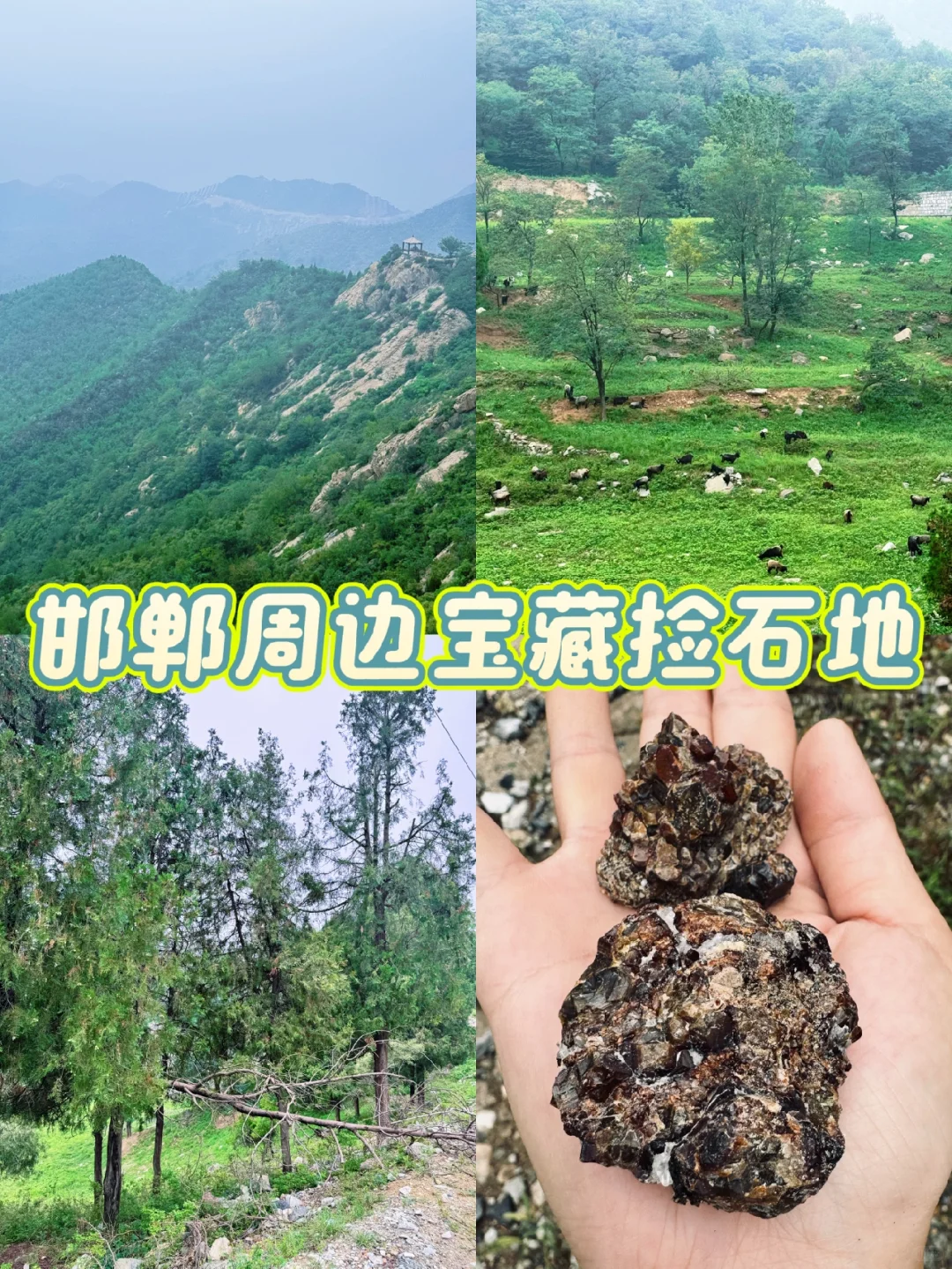 这里不是新疆,是邯郸!