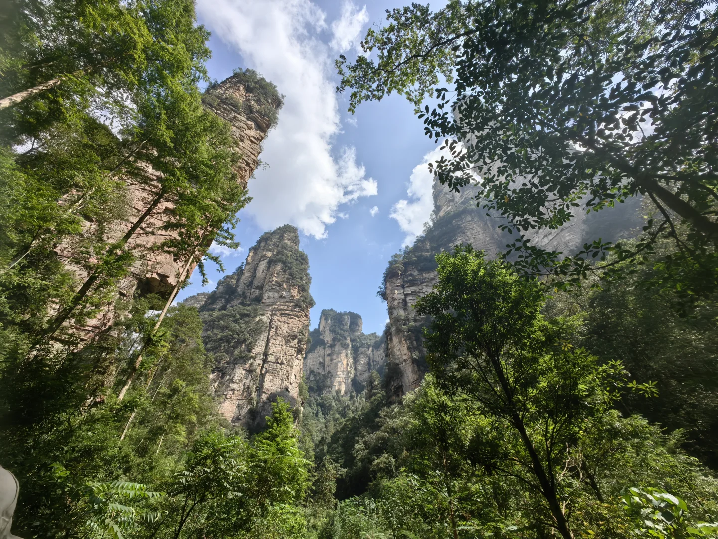 张家界旅游攻略 三天三夜 三索一梯不限次