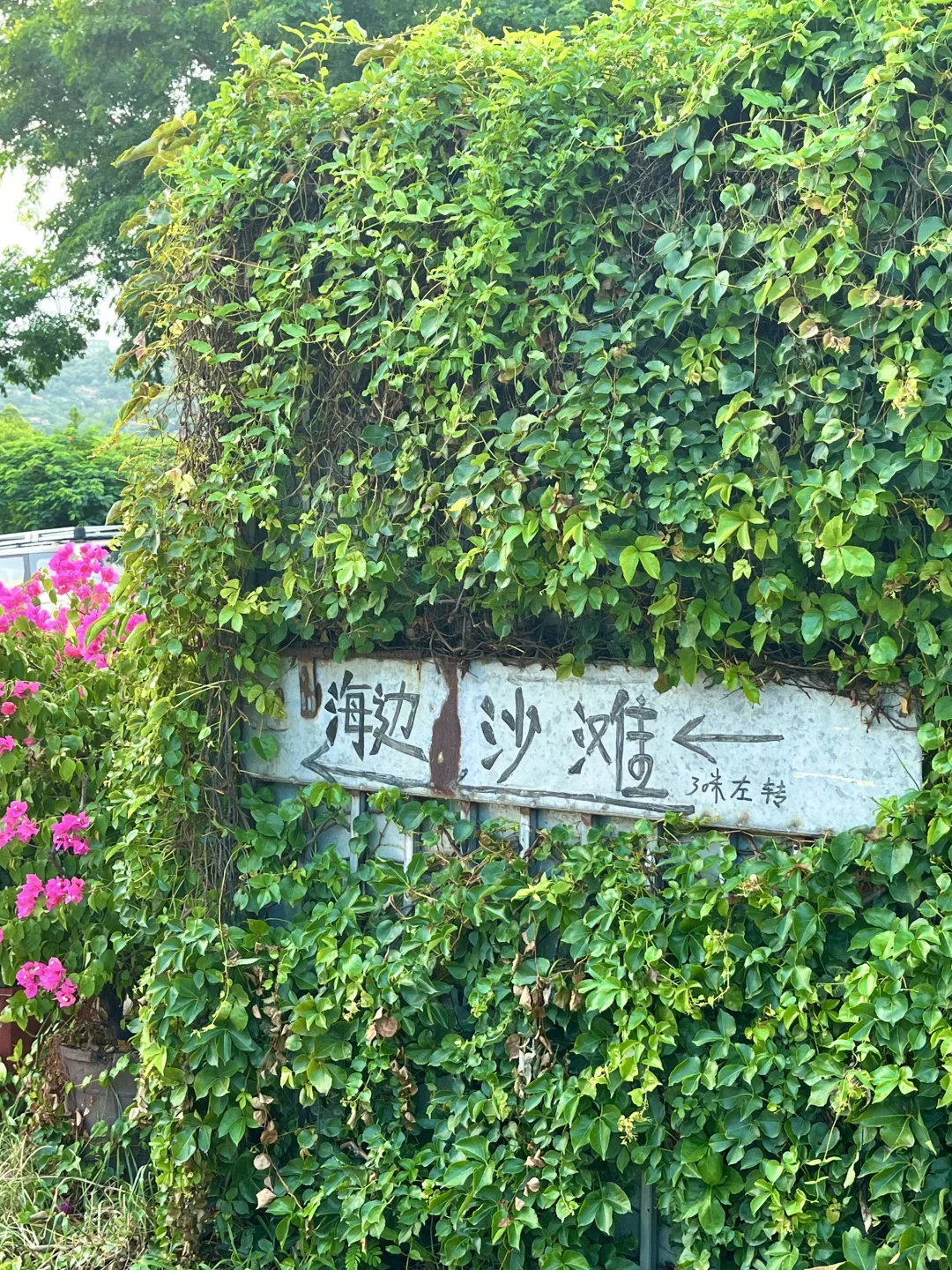 厦门已回（已被宰）！内容很脏，但真实…