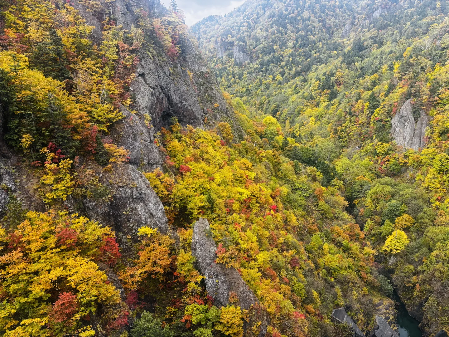 10.16日札幌周边带队赏枫！打卡超小众路线