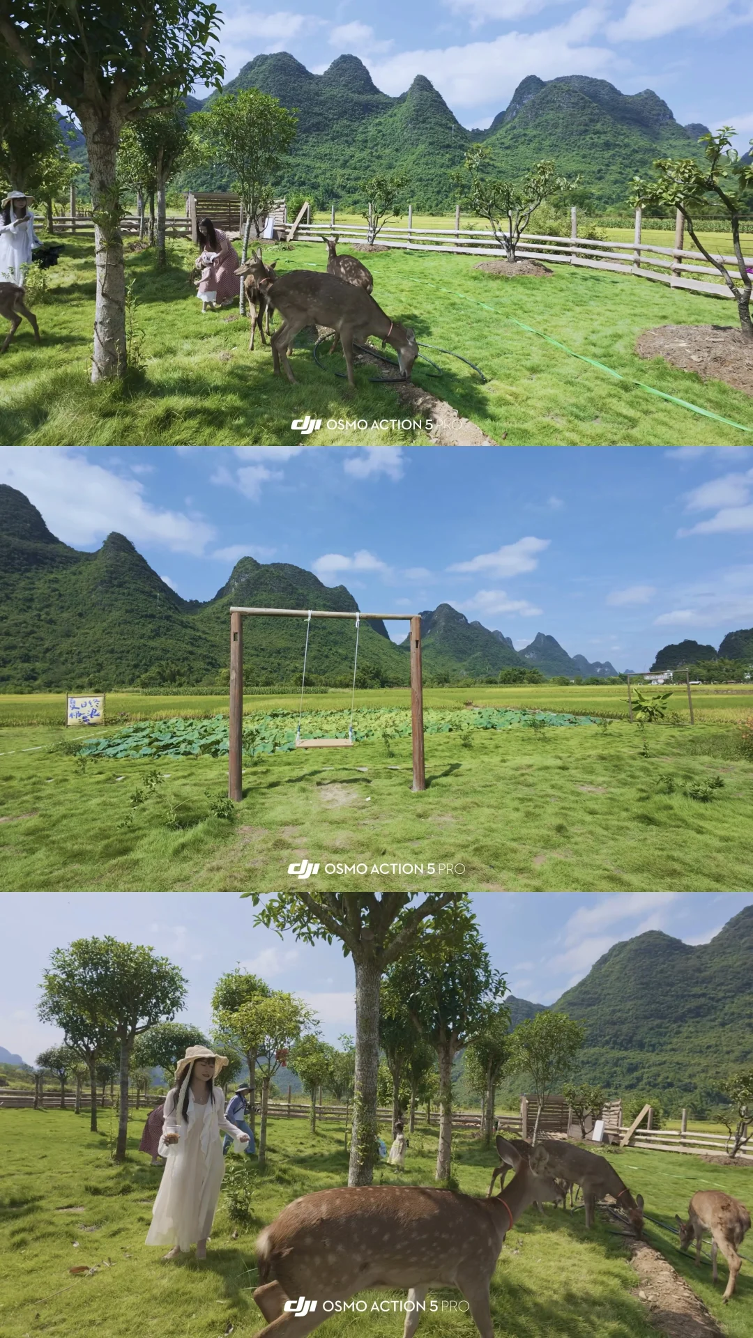 阳朔！建议留半天时间在这里！！🦌💕