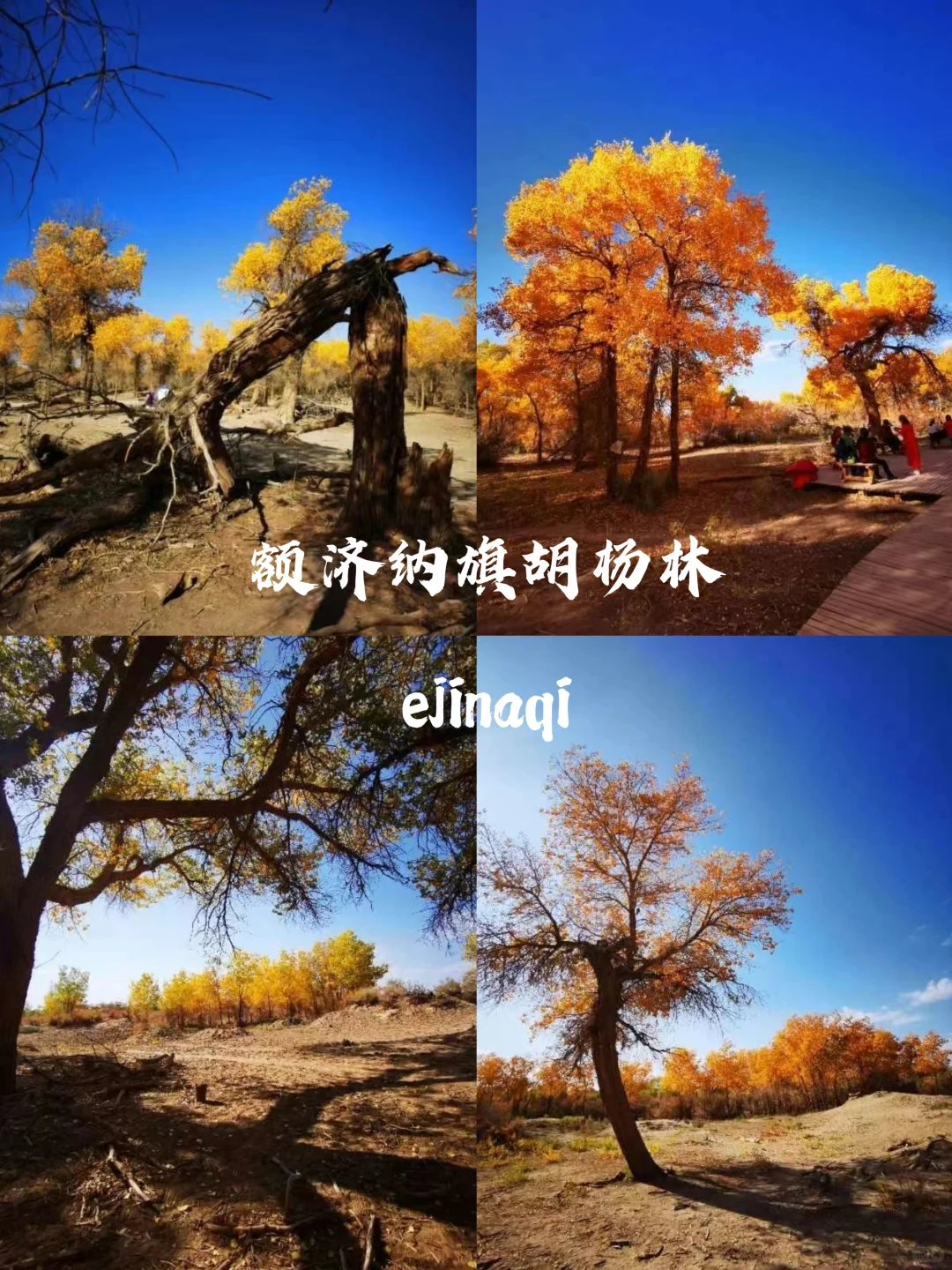 哇噻🤩《国家地理》推荐：15个超美的地方