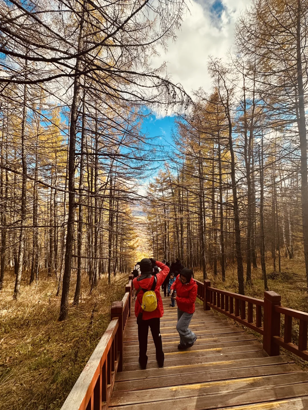 📍阿尔山攻略(长春出发版)