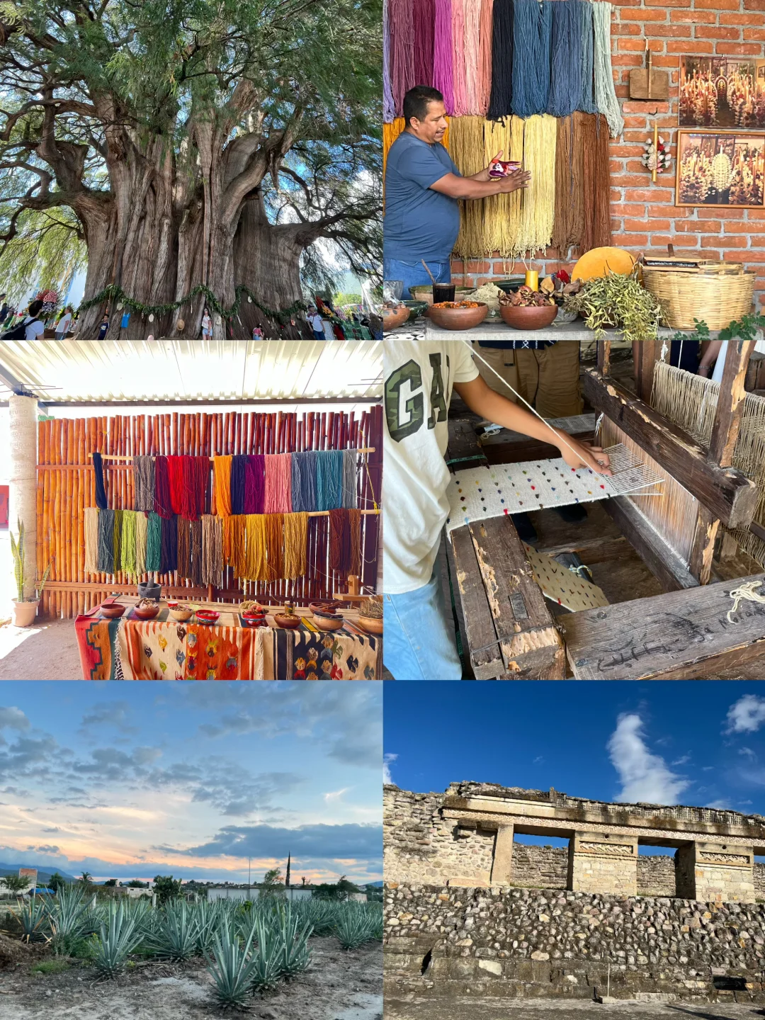 墨西哥🇲🇽Oaxaca 旅游攻略：逛
