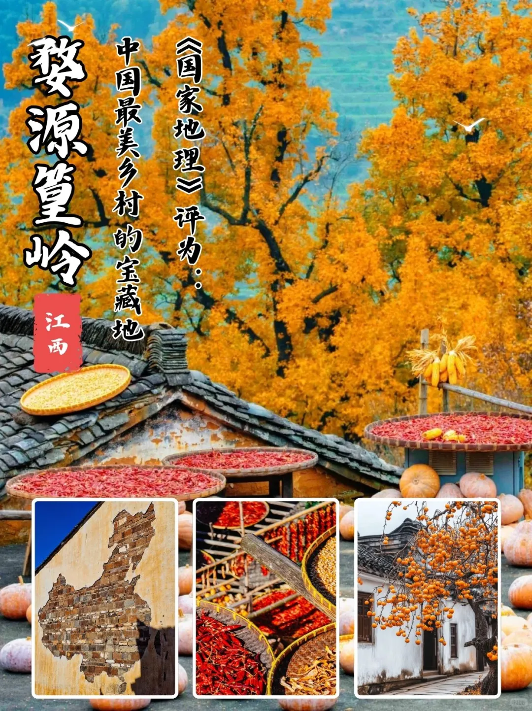 🌾婺源篁岭 | 10 月醉美的秋之画卷