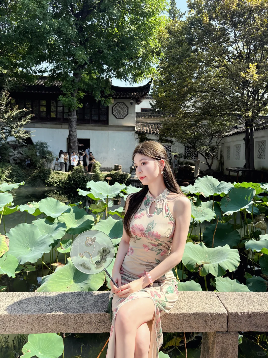 苏州·两天旅游攻略🪭留园 虎丘山 寒山寺…