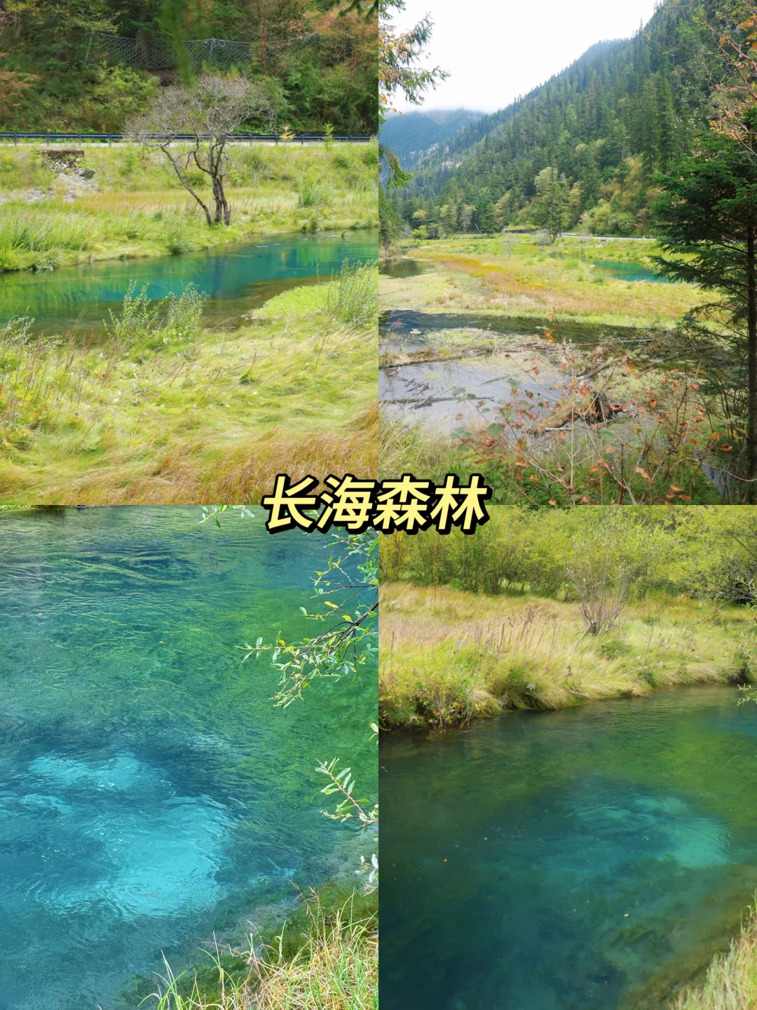 黄龙-九寨沟两日游|人均💰1k可复制版❗️