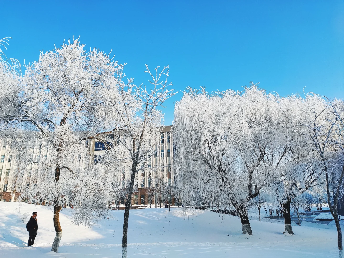 吉林必去十三个景点,你去过几个?
