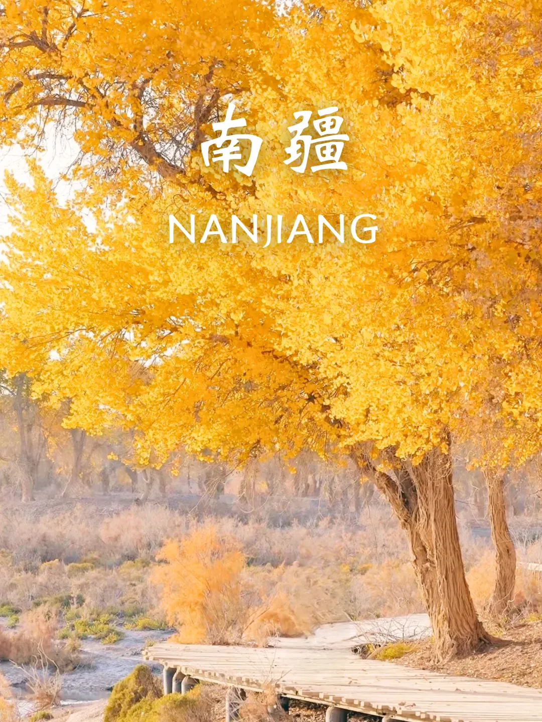 10-11月国内赏秋没有平替❗个个都是天花板