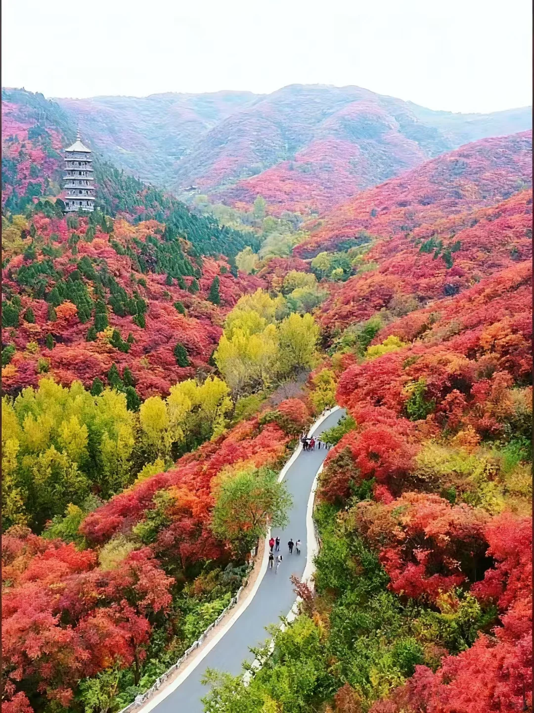 济南红叶谷保姆级攻略|金秋必冲的童话秘境