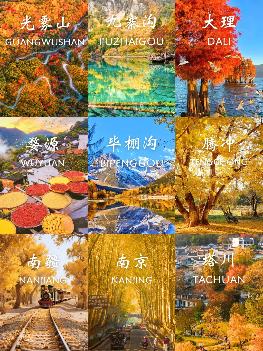 10-11月国内赏秋没有平替❗个个都是天花板