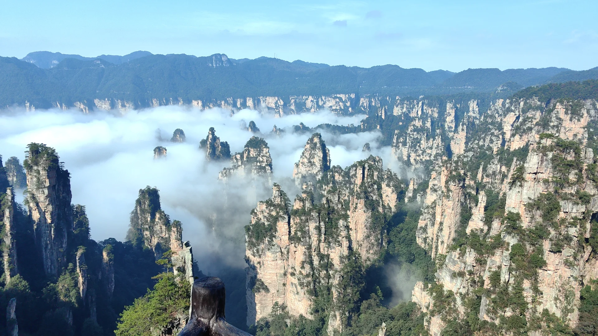 张家界旅游攻略 三天三夜 三索一梯不限次