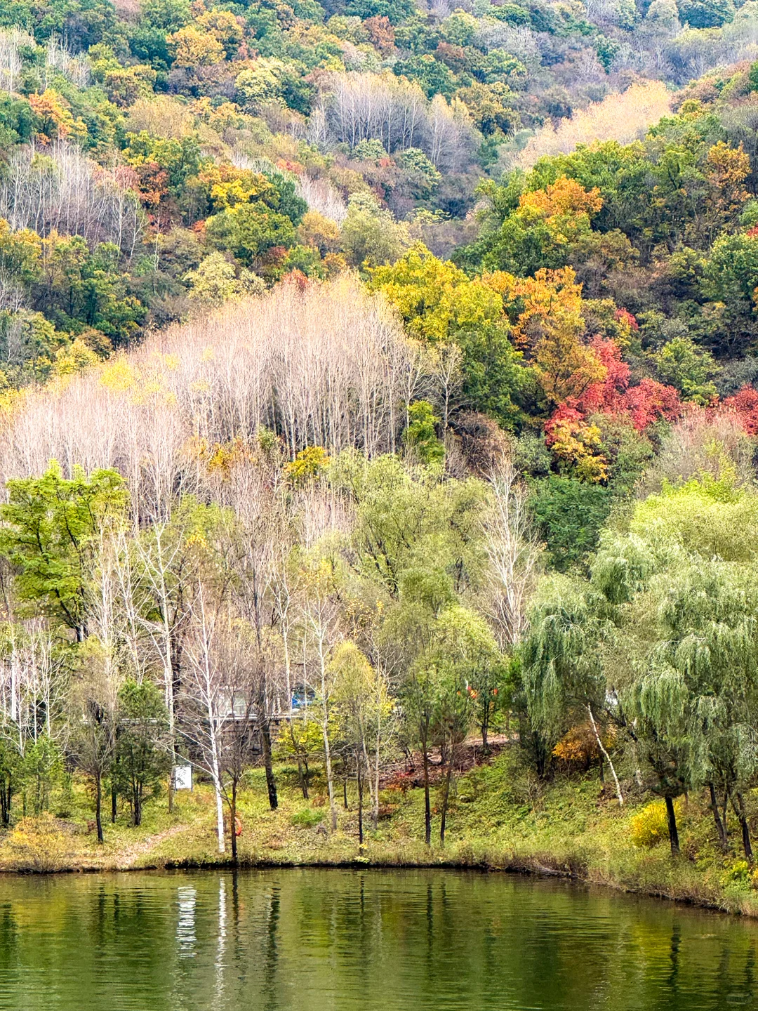 10.12玉渡山 秋意正浓，拍不出的美