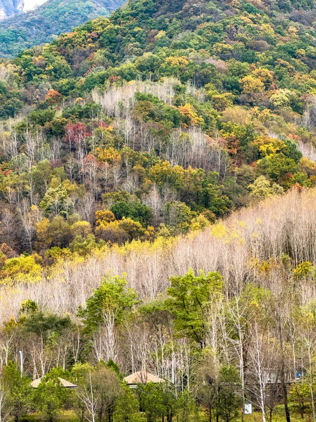 10.12玉渡山 秋意正浓，拍不出的美