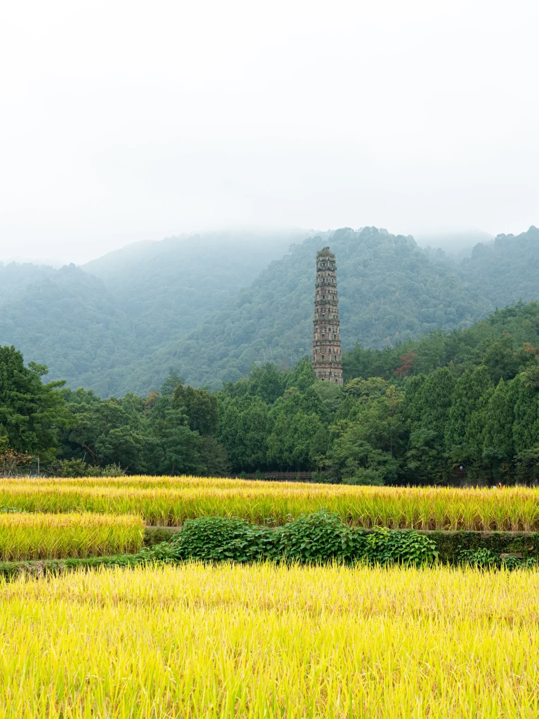 秋假带娃去哪玩儿?台州这6️⃣个5A景区免门票