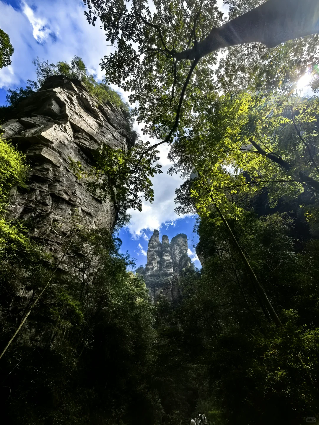 张家界旅游攻略 三天三夜 三索一梯不限次