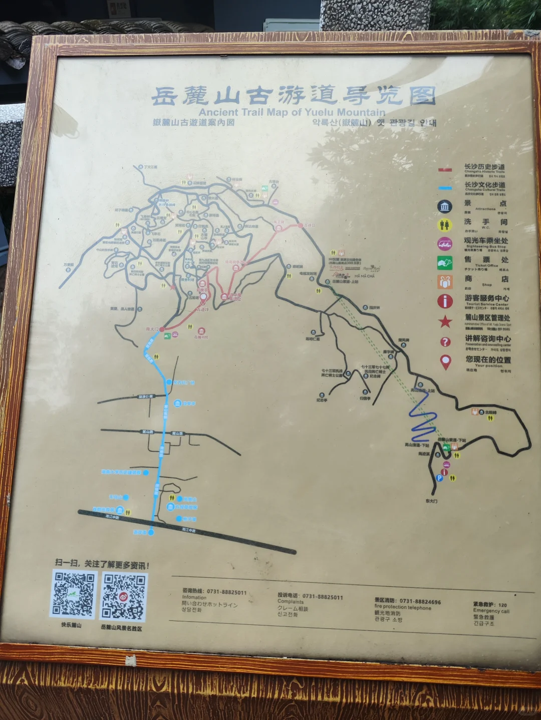 长沙近乎完美的第二天行程