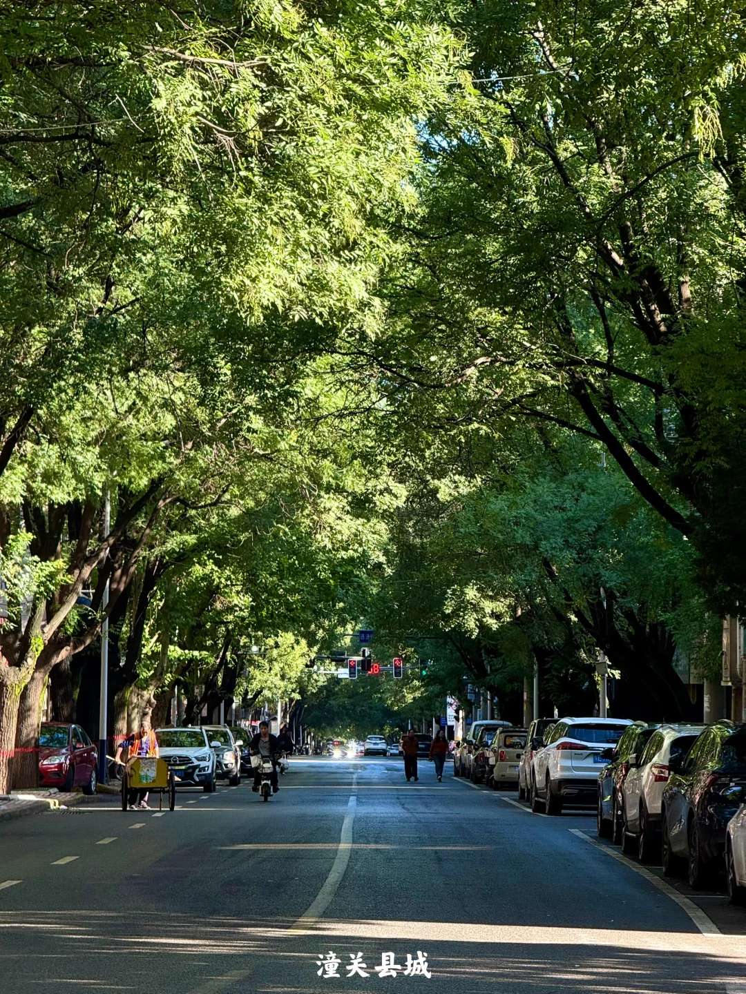 陕西|一个人坐火车去潼关(含公交旅行攻略