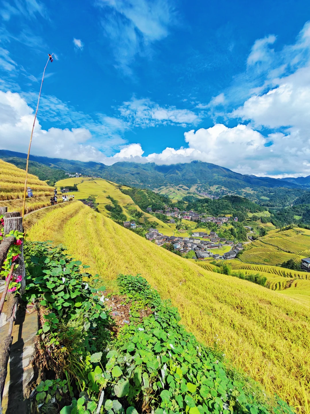 📍龙脊梯田包车自由行天花板攻略！🚗