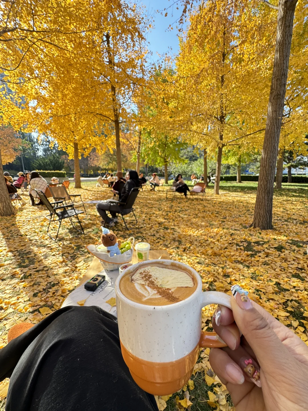 北平秋天无平替….🍂🍂