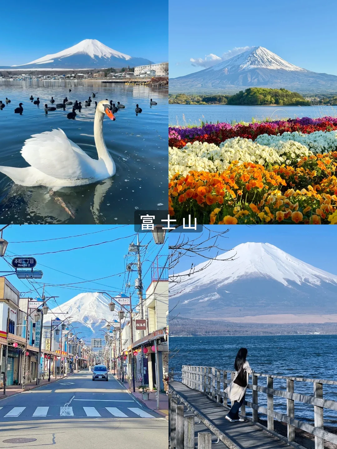 亲测!日本旅游选高端定制游省心好玩不踩坑