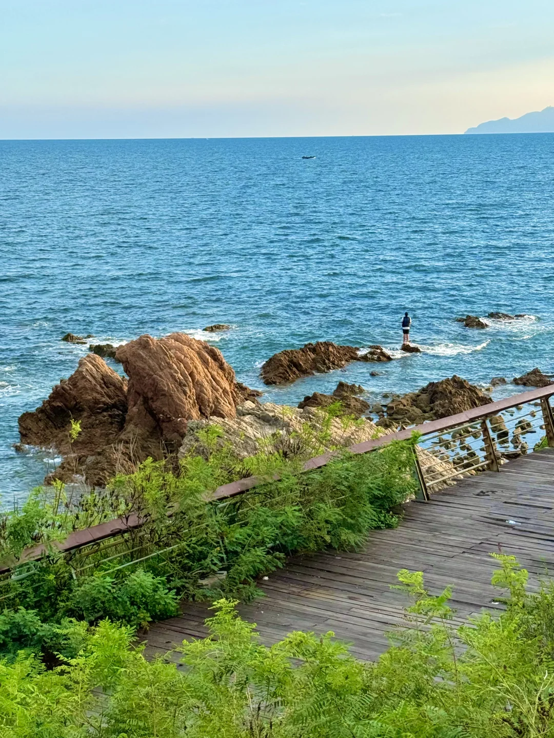 果然。。。青岛最牛逼的公园🌊都是免费的！！！