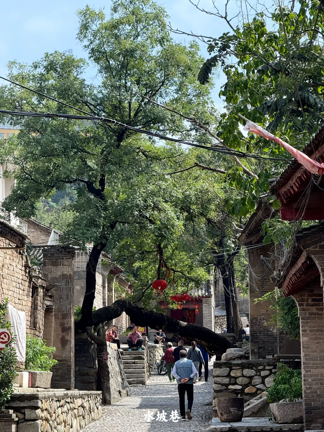 陕西|一个人坐火车去潼关(含公交旅行攻略