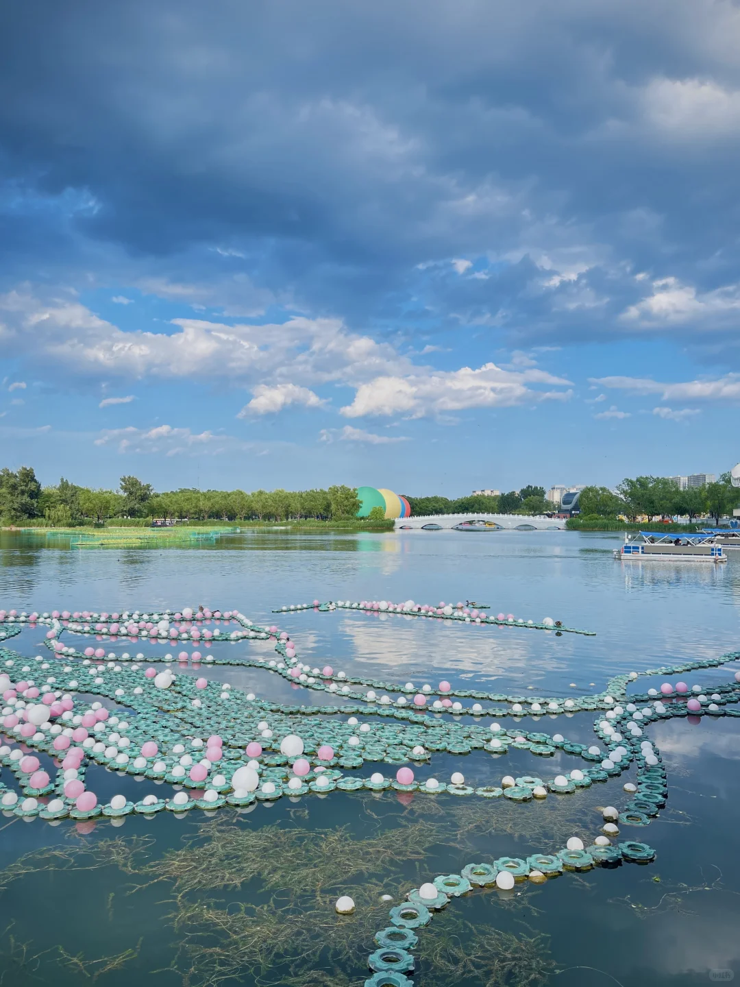 果然,北京最牛🐂的地方都是免费的