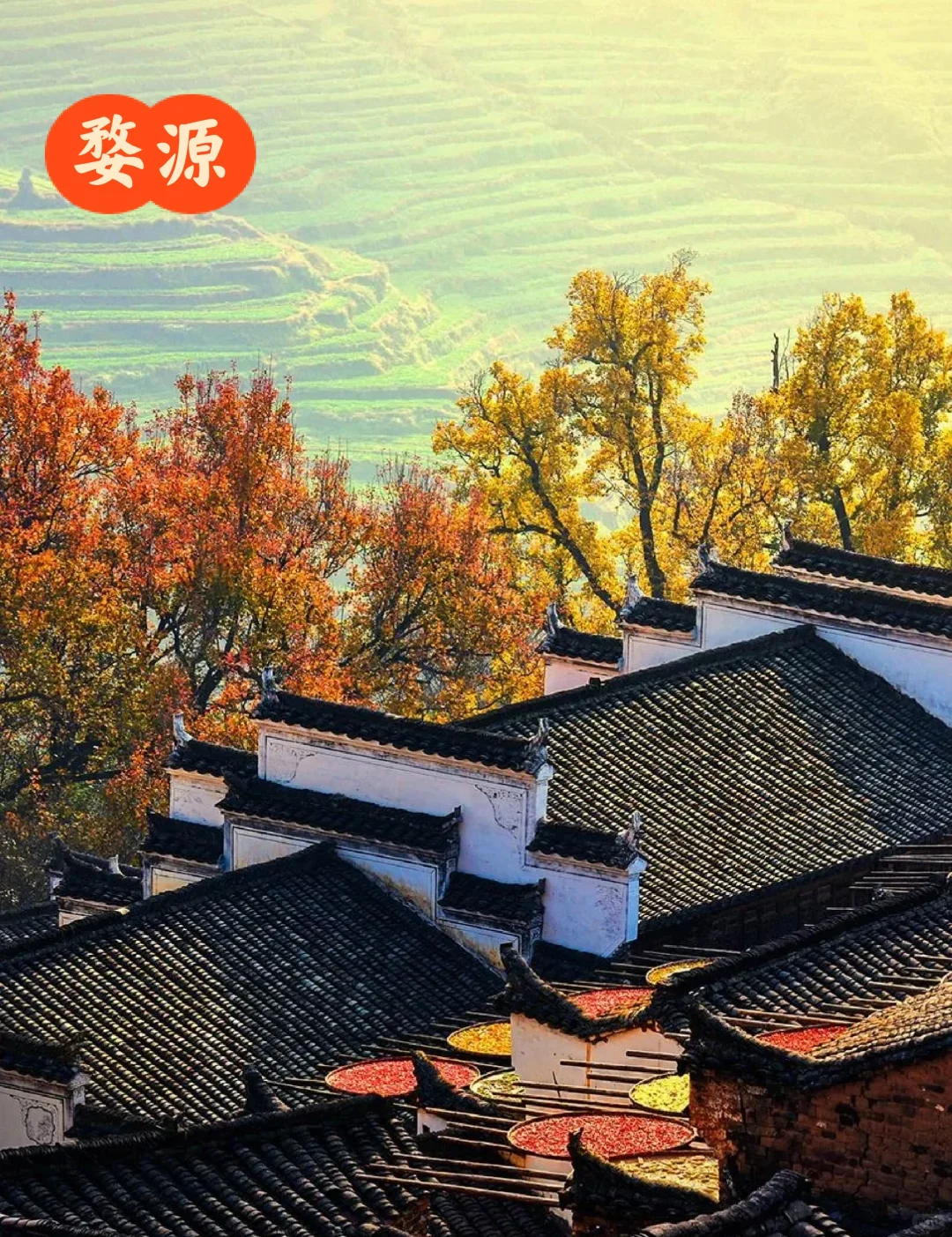 国内10个秋景天花板,这个季节美到封神!