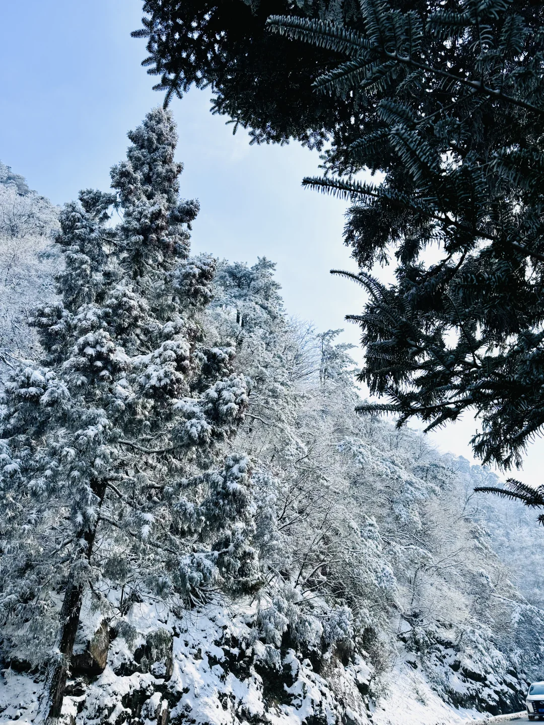 庐山山上以及山下旅游攻略 吃住行推荐👀