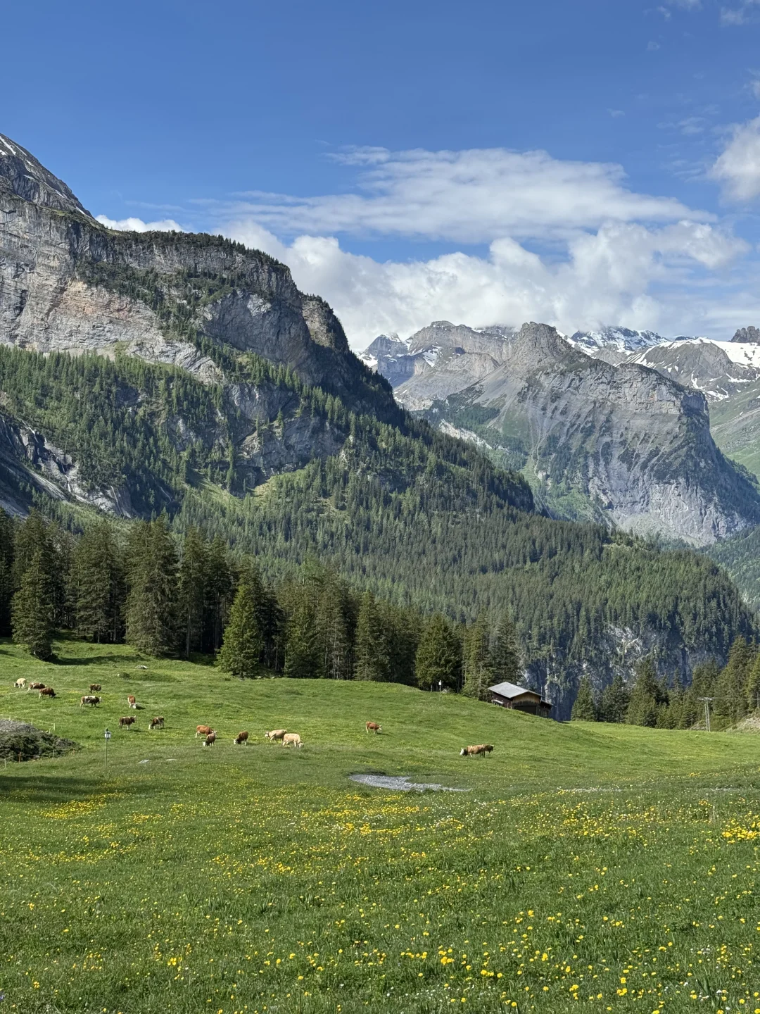 完全是因为这张照片去的瑞士