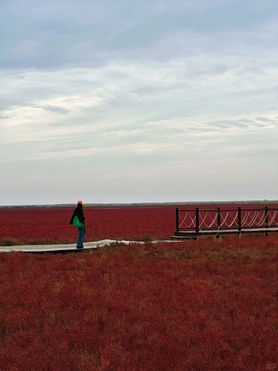 盘锦｜ 在这片红滩秘境拍到了人生照片❗️