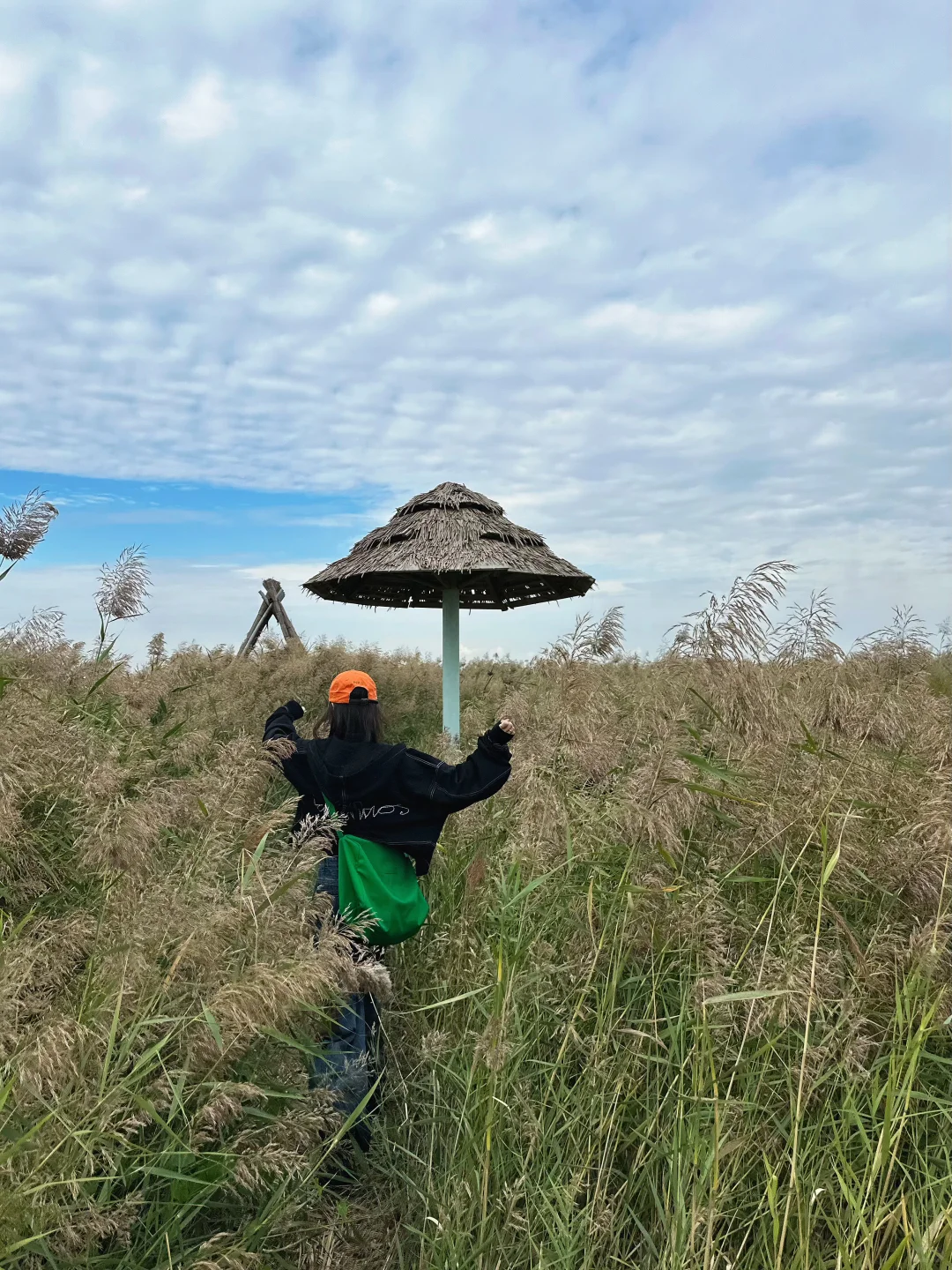 盘锦｜ 在这片红滩秘境拍到了人生照片❗️