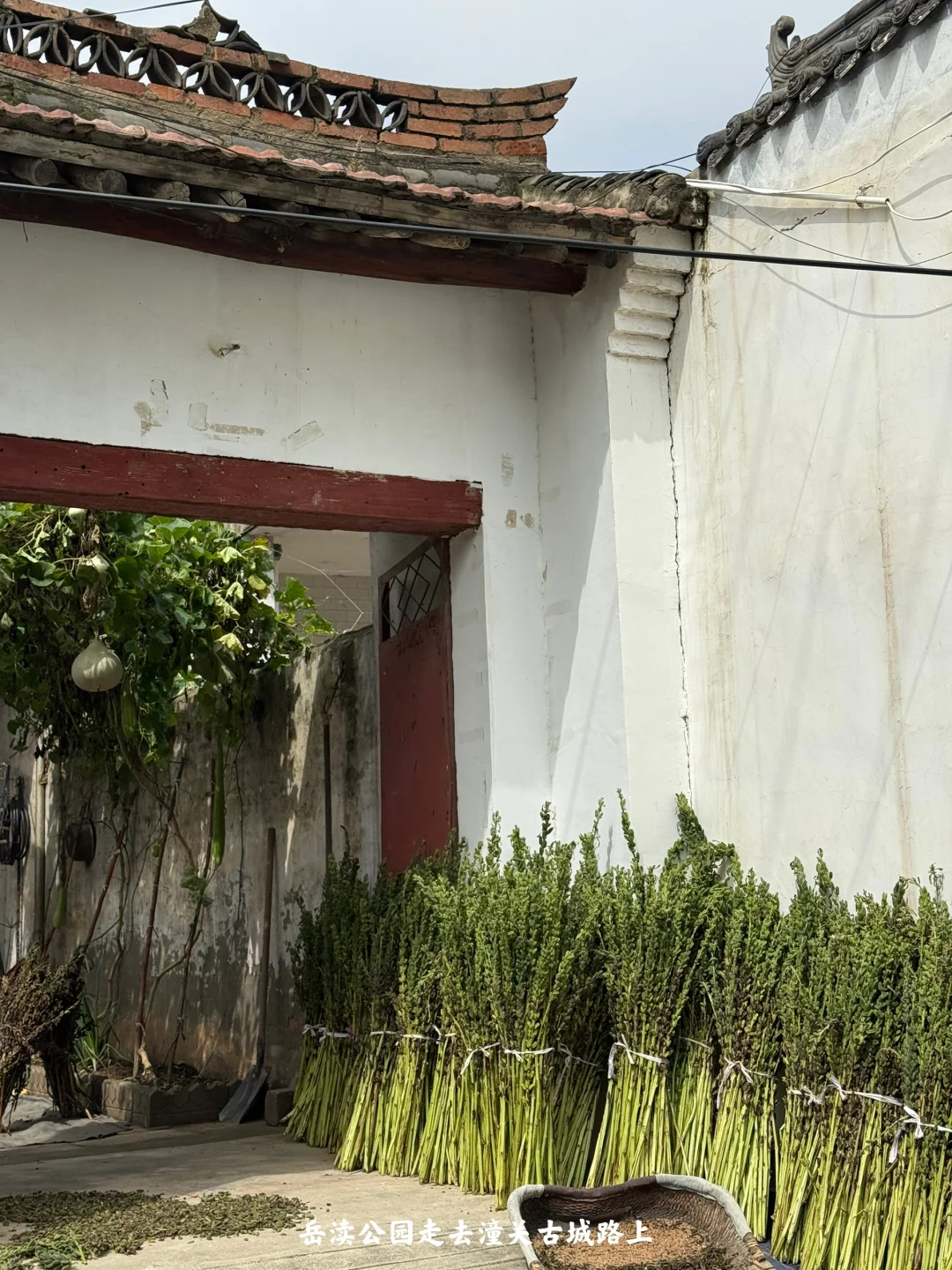 陕西｜一个人坐火车去潼关（含公交旅行攻略