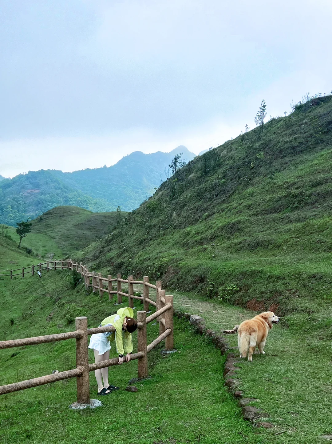 广西带狗自驾，冷门又出片的7个小众景点之2