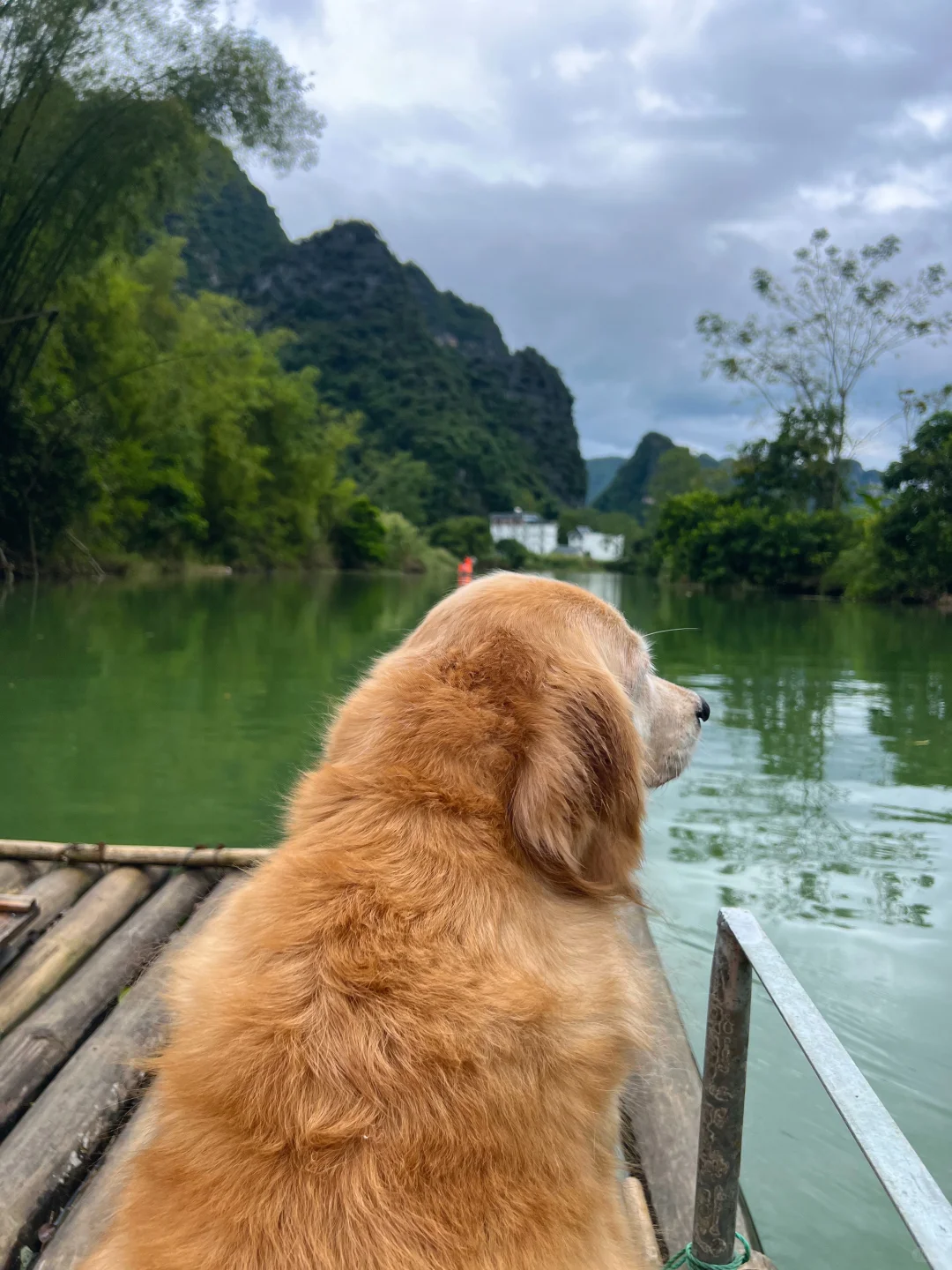 广西带狗自驾，冷门又出片的7个小众景点之2