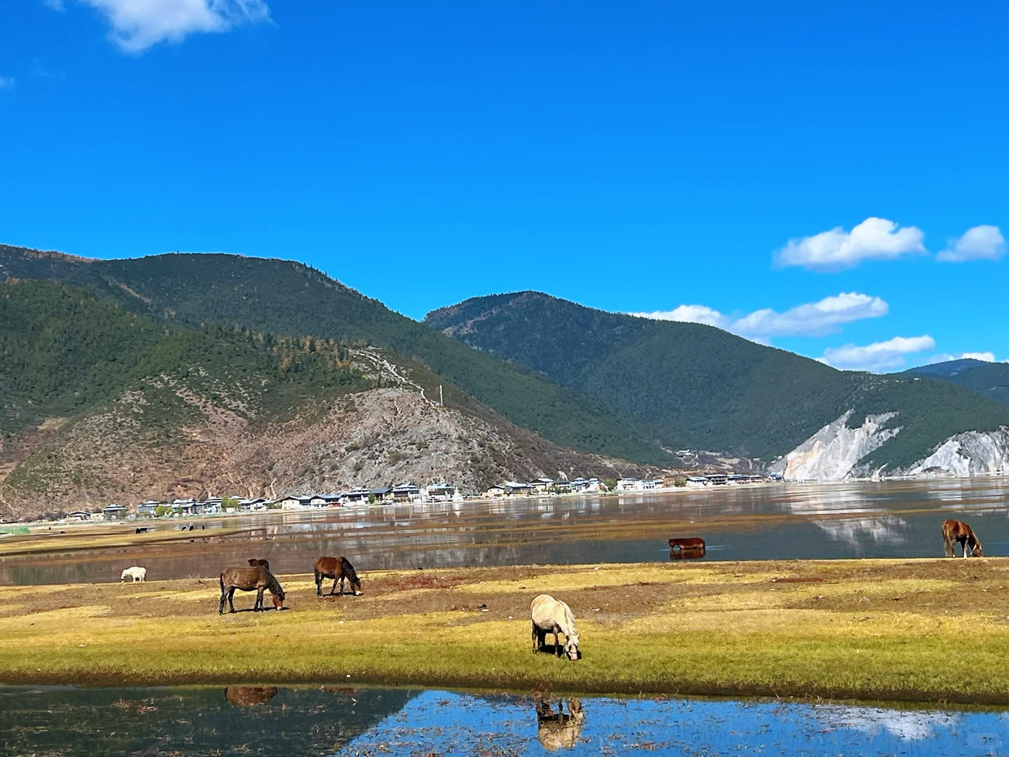 📍云南 11月超完美旅行攻略📝