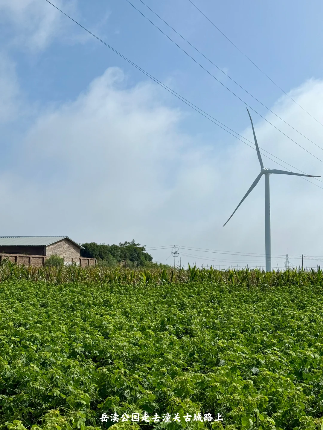 陕西|一个人坐火车去潼关(含公交旅行攻略