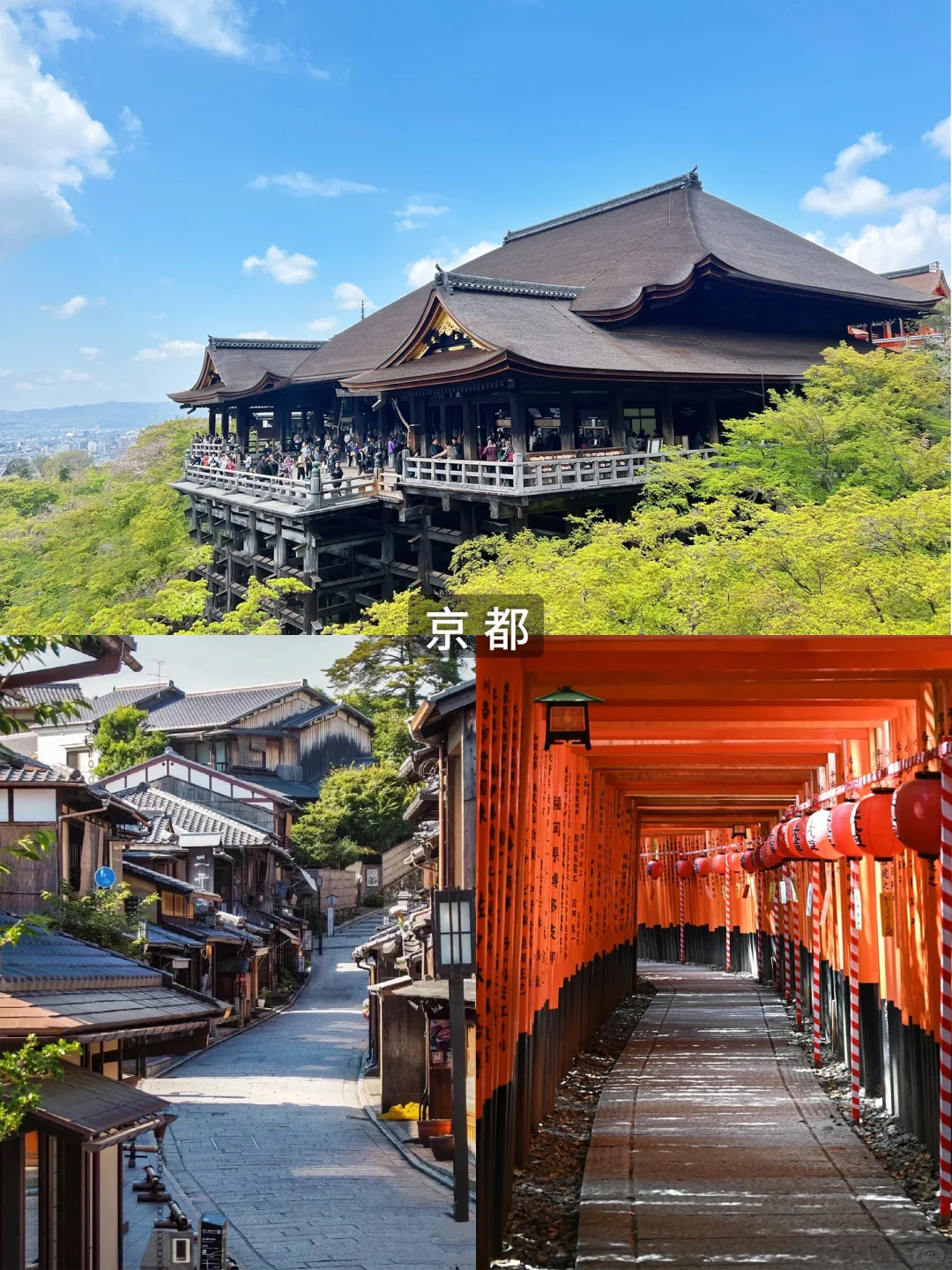 亲测!日本旅游选高端定制游省心好玩不踩坑