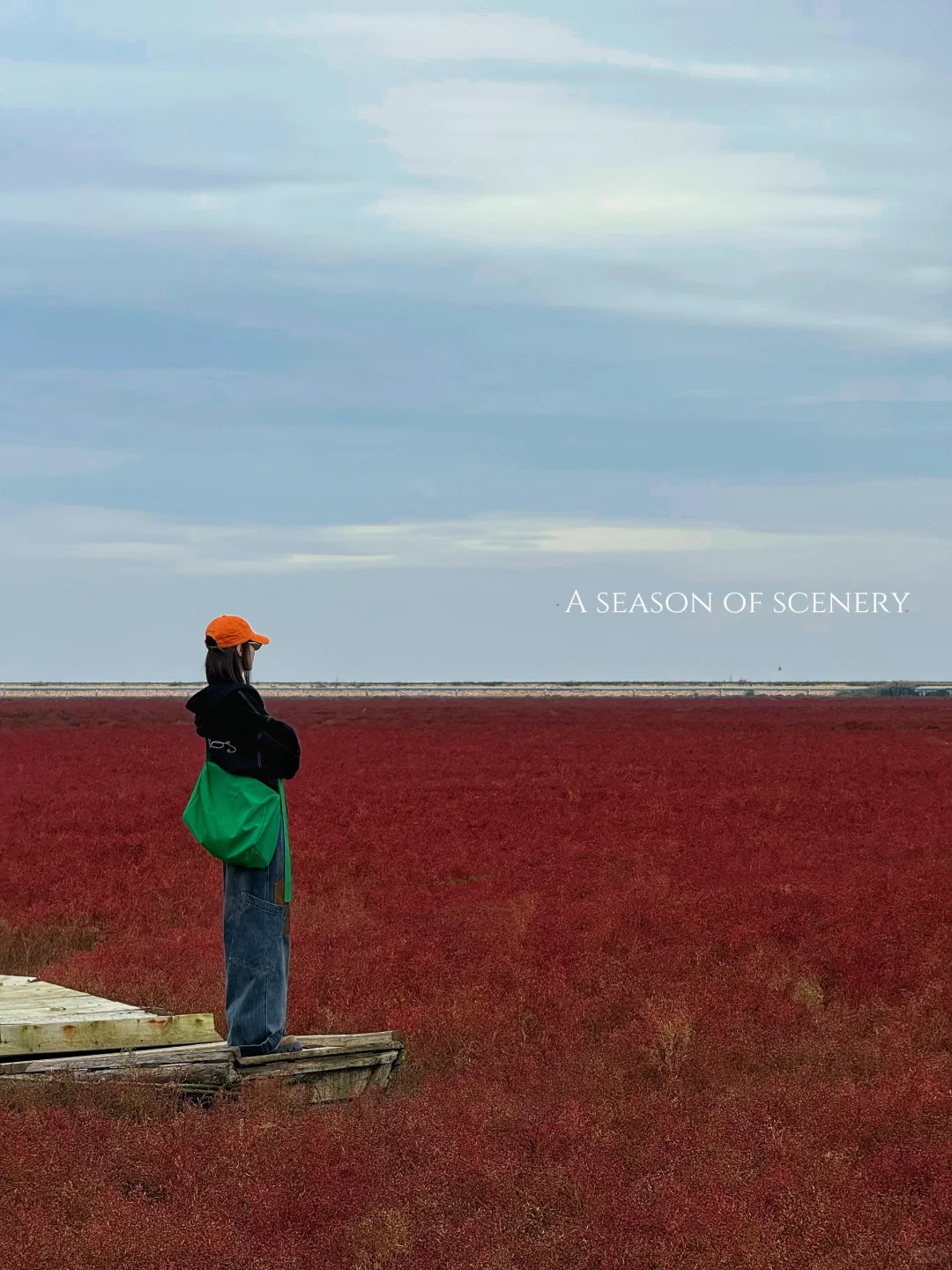 盘锦｜ 在这片红滩秘境拍到了人生照片❗️