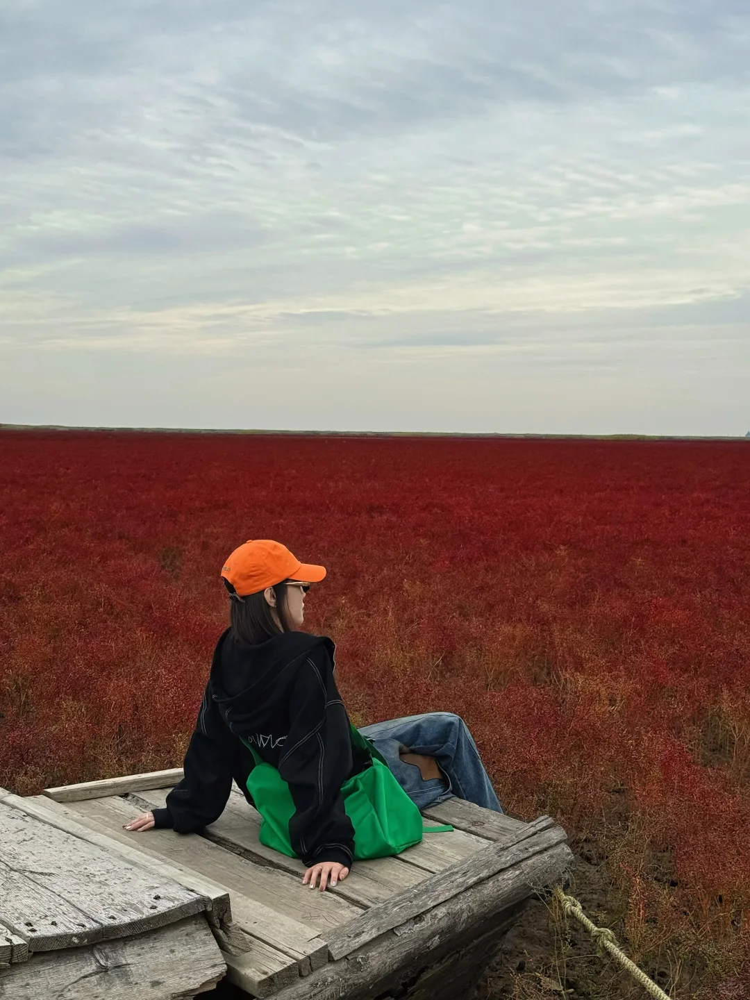 盘锦｜ 在这片红滩秘境拍到了人生照片❗️
