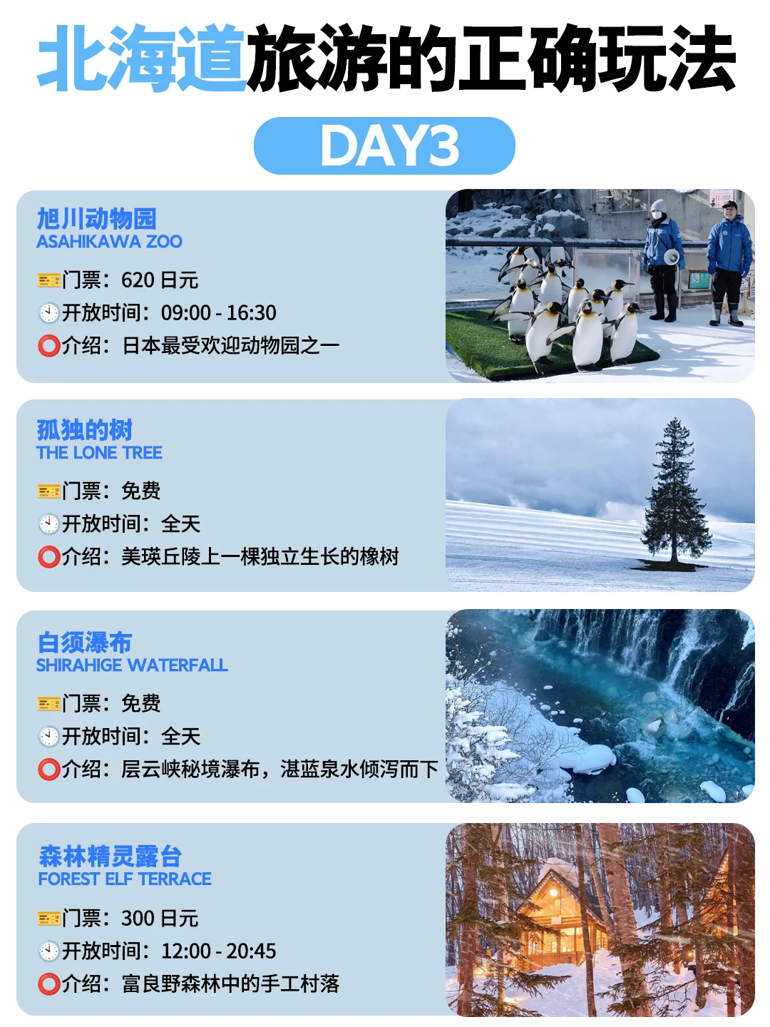 5分钟搞定北海道旅游攻略🔥看这篇就够啦
